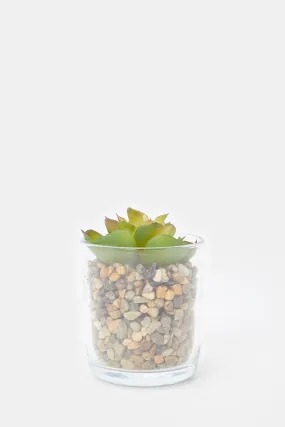 Artificial Succulent Cactus In Glass Pot With Stone