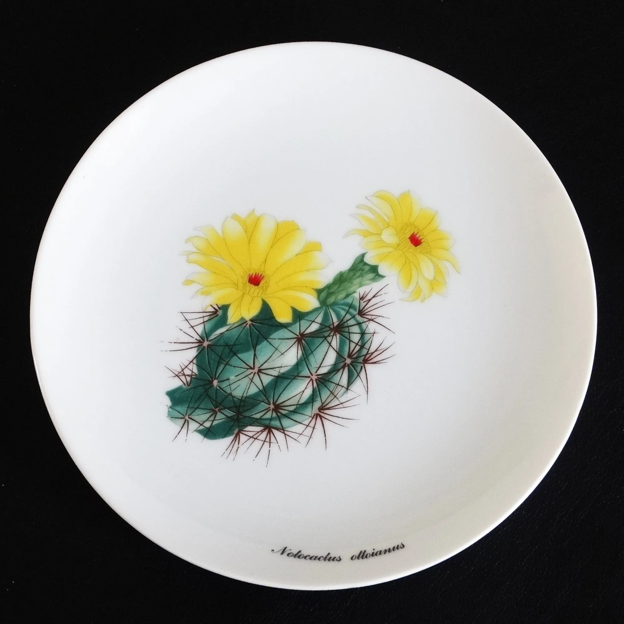 Desert Flower Cactus Plates by Shafford. Set of 3. Garden Club Series