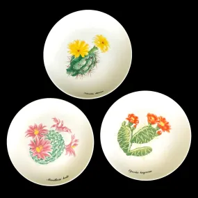 Desert Flower Cactus Plates by Shafford. Set of 3. Garden Club Series