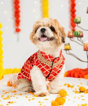 Dog Sherwani Red