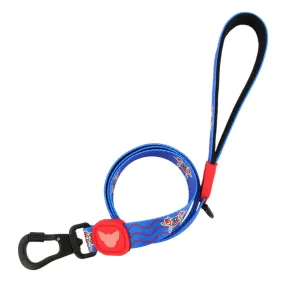 Jibaro Vejigante Mask Dog Leash | Perrandeo Jibaro Pawtriotico Collection